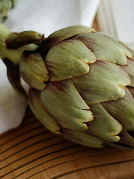 Artichoke
